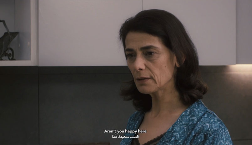 foreign body trailer